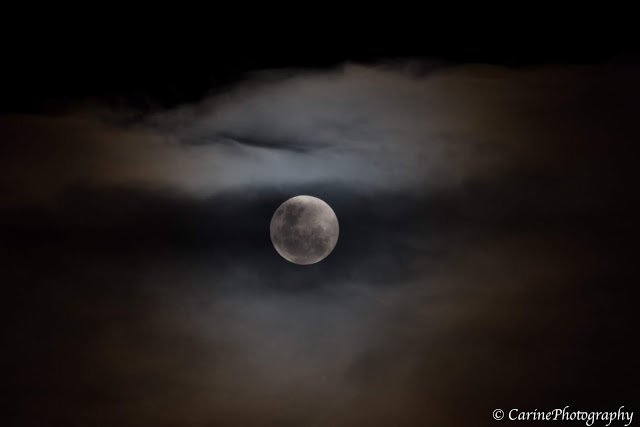 Eclipse Lunaire à Kerguelen